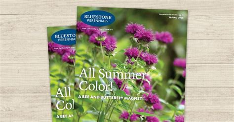 bluestoneperennials|bluestone perennials catalog.